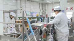 此中冷链生鲜物流